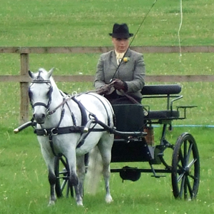 Sue at DriveTime Magazine with Willow a Welsh A at the BDS Sussex Show 